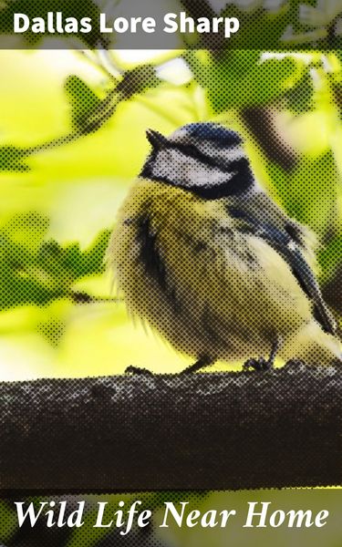 Produktbild: Wild Life Near Home