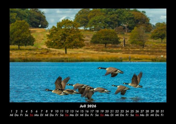 Produktbild: Seeblick 2026 Fotokalender DIN A3