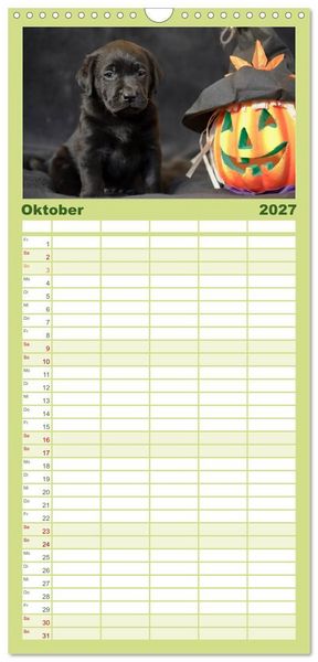 Produktbild: Familienplaner 2027 - Labrador Welpen mit 5 Spalten (Wandkalender, 21 x 45 cm) CALVENDO