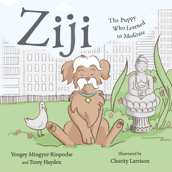 Produktbild: Ziji