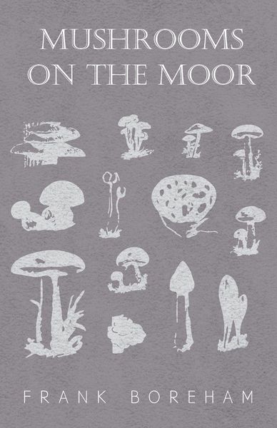 Produktbild: Mushrooms on the Moor