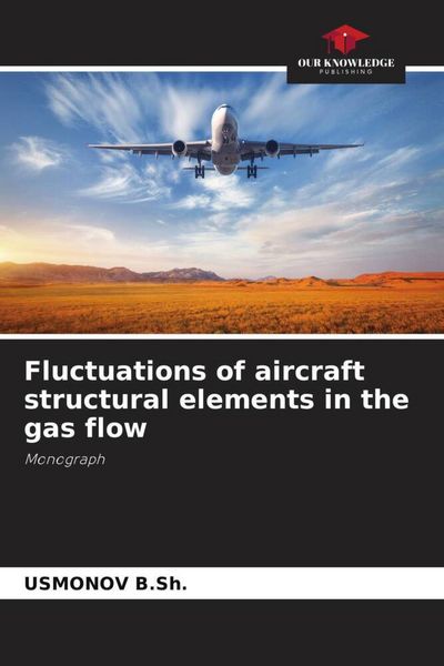 Produktbild: Fluctuations of aircraft structural elements in the gas flow