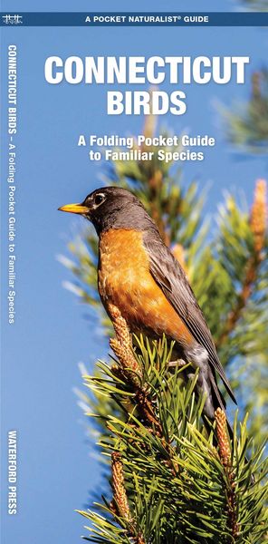Produktbild: Connecticut Birds