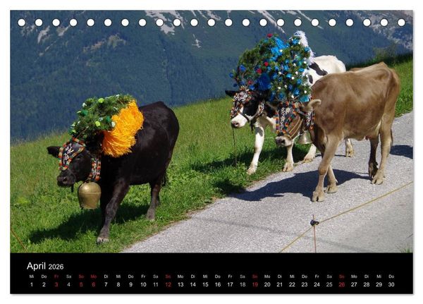 Produktbild: Almabtrieb in Tirol (Tischkalender 2026 DIN A5 quer), CALVENDO Monatskalender