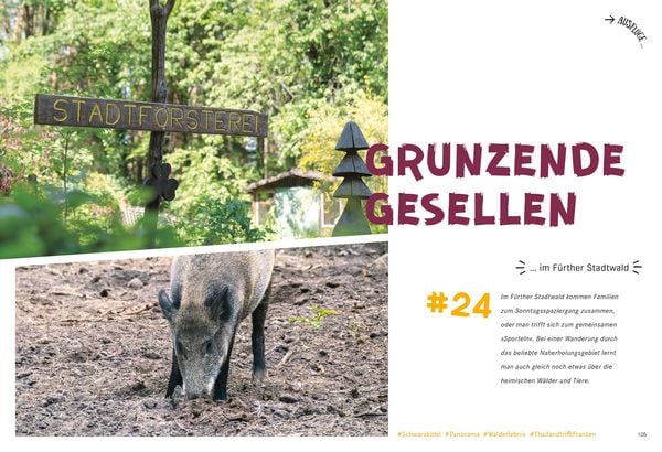 Produktbild: 52 kleine & große Eskapaden Nürnberg, Fürth und Erlangen