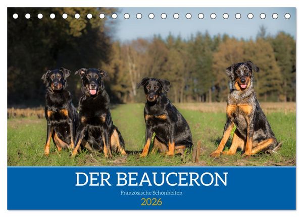 Der Beauceron (Tischkalender 2026 DIN A5 quer), CALVENDO Monatskalender
