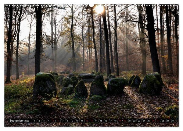 Produktbild: L&uuml;neburger Heide (hochwertiger Premium Wandkalender 2026 DIN A2 quer), Kunstdruck in Hochglanz