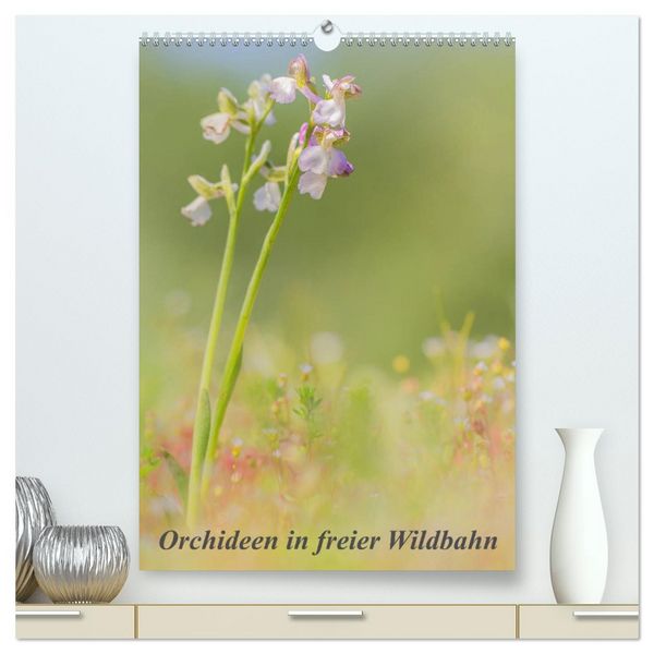 Orchideen in freier Wildbahn (hochwertiger Premium Wandkalender 2026 DIN A2 hoch), Kunstdruck in Hochglanz