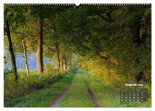 Produktbild: Die Dingdener Heide im Wandel der Jahreszeiten (Wandkalender 2026 DIN A2 quer), CALVENDO Monatskalender