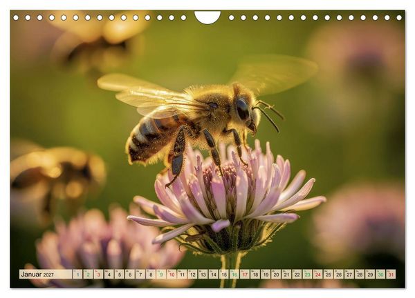 Produktbild: Die intelligentesten Tiere - Weltweit (Wandkalender 2027 DIN A4 quer), CALVENDO Monatskalender
