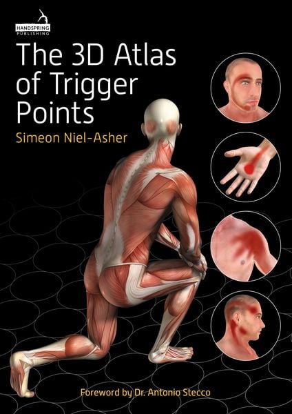 Produktbild: The 3D Atlas of Trigger Points