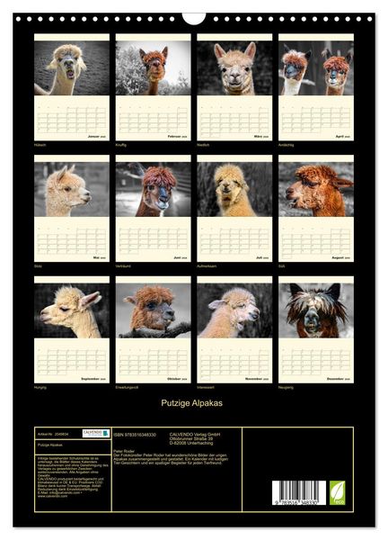 Produktbild: Putzige Alpakas (Wandkalender 2026 DIN A3 hoch), CALVENDO Monatskalender