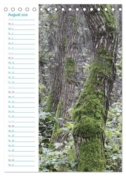 Produktbild: Wunderbarer Spreewald (Tischkalender 2026 DIN A5 hoch), CALVENDO Monatskalender