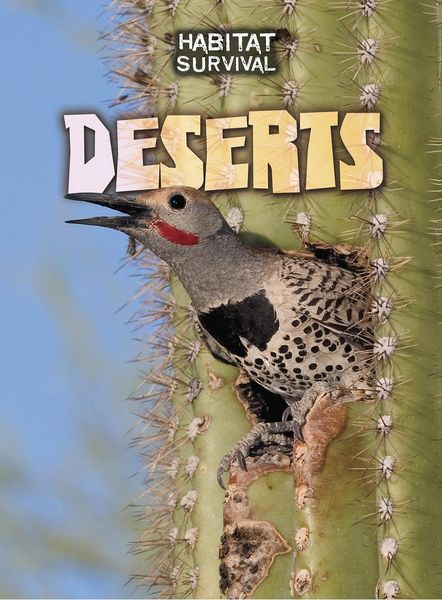 Produktbild: Deserts