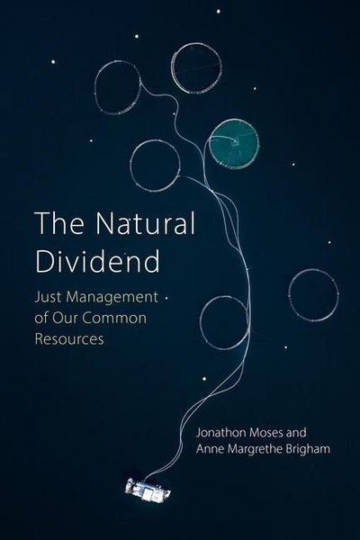 Produktbild: The Natural Dividend