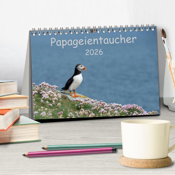 Produktbild: Papageientaucher 2026 (Tischkalender 2026 DIN A5 quer), CALVENDO Monatskalender