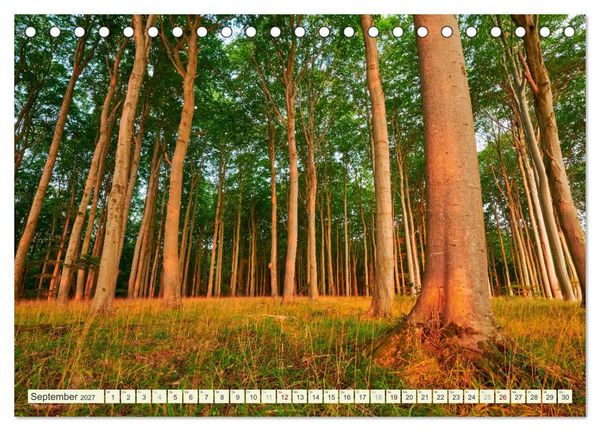 Produktbild: R&uuml;gen - Jasmund Nationalpark (Tischkalender 2027 DIN A5 quer), CALVENDO Monatskalender