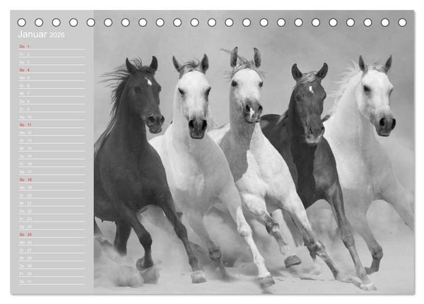 Produktbild: Arabische Pferde (Tischkalender 2026 DIN A5 quer), CALVENDO Monatskalender