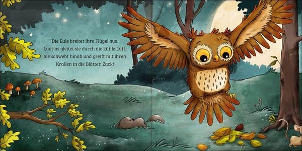 Produktbild: Mein erstes Naturbuch - Die Eule