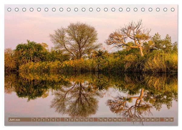 Produktbild: Afrikas B&auml;ume (Tischkalender 2026 DIN A5 quer), CALVENDO Monatskalender