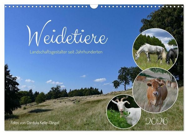Produktbild: Weidetiere - Landschaftsgestalter seit Jahrhunderten (Wandkalender 2026 DIN A3 quer), CALVENDO Monatskalender