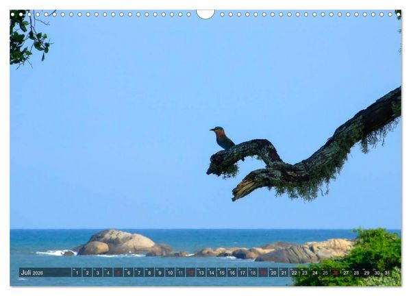 Produktbild: Sri Lanka - Eine Bilder-Reise (Wandkalender 2026 DIN A3 quer), CALVENDO Monatskalender