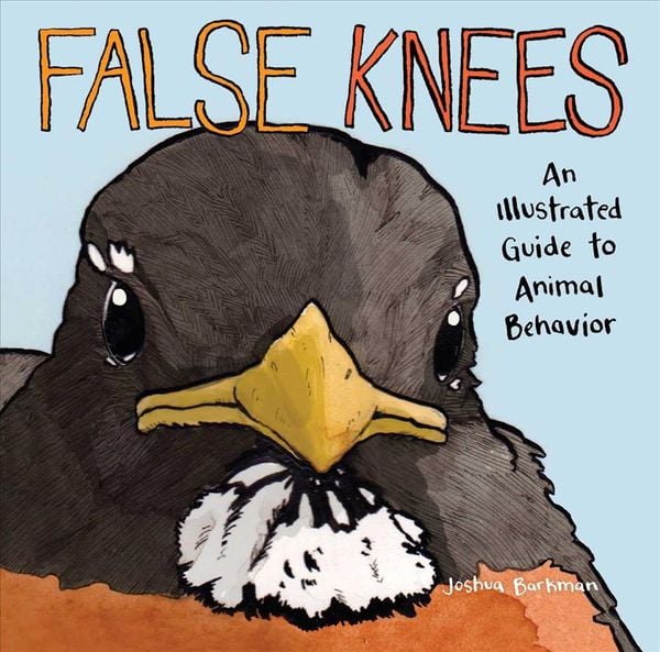 Produktbild: False Knees