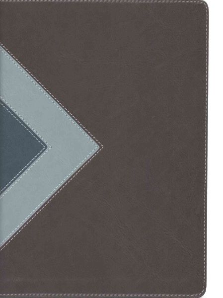 Produktbild: Illustrated Study Bible-NLT