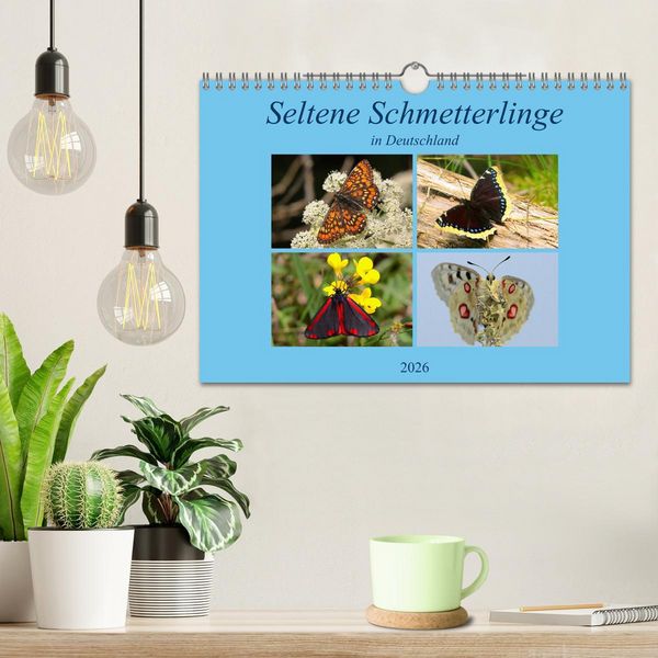 Produktbild: Seltene Schmetterlinge in Deutschland (Wandkalender 2026 DIN A4 quer), CALVENDO Monatskalender