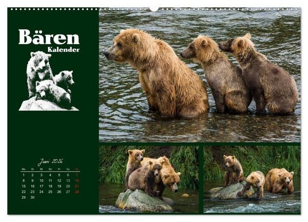 Produktbild: B&auml;renkalender (hochwertiger Premium Wandkalender 2026 DIN A2 quer), Kunstdruck in Hochglanz