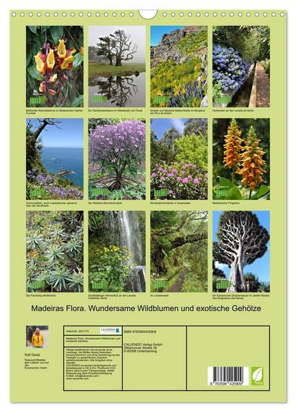 Produktbild: Madeiras Flora. Wundersame Wildblumen und exotische Geh&ouml;lze (Wandkalender 2027 DIN A3 hoch), CALVENDO Monatskalender