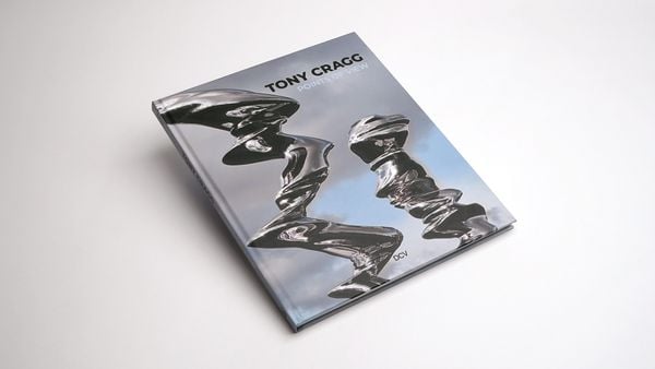 Produktbild: Tony Cragg: Points of View