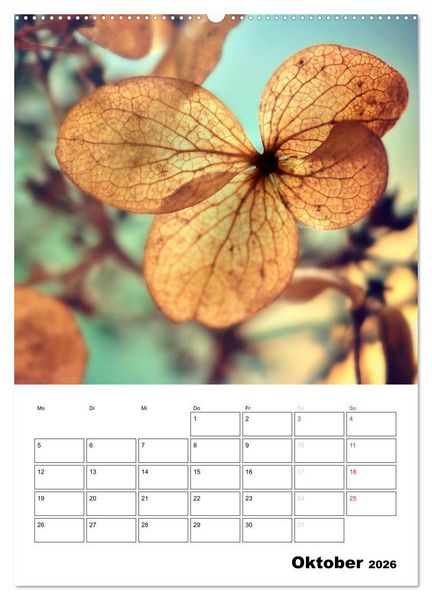 Produktbild: Zauberhafte Bl&uuml;tenwelt / Planer (Wandkalender 2026 DIN A2 hoch), CALVENDO Monatskalender