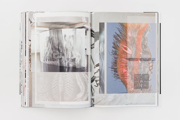 Produktbild: Sophie Hirsch