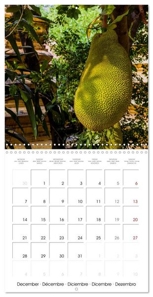 Produktbild: Siem Reap City of Temples Cambodia (Wall Calendar 2026 12 &times; 12 Inch) CALVENDO 12 Month Wall Calendar