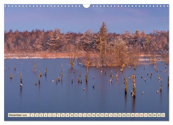 Produktbild: Niedersachsens Natur (Wandkalender 2026 DIN A3 quer), CALVENDO Monatskalender