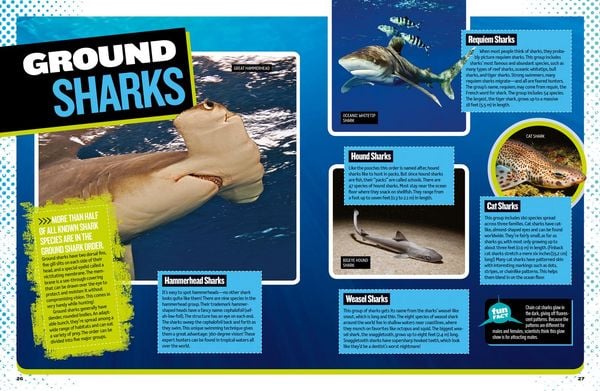 Produktbild: The Ultimate Book of Sharks