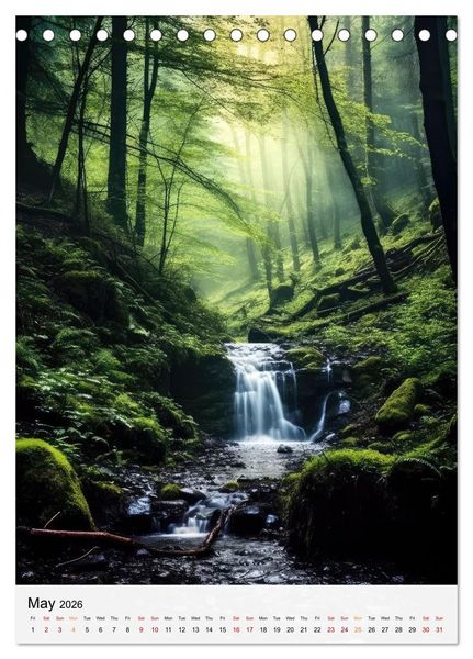 Produktbild: Dreamscapes of the Forest (Desk Calendar 2026 DIN A5 portrait), CALVENDO 12 Month DeskCalendar