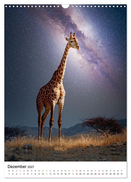 Produktbild: Giraffen - die Welt von oben betrachtet (Wandkalender 2027 DIN A3 hoch), CALVENDO Monatskalender