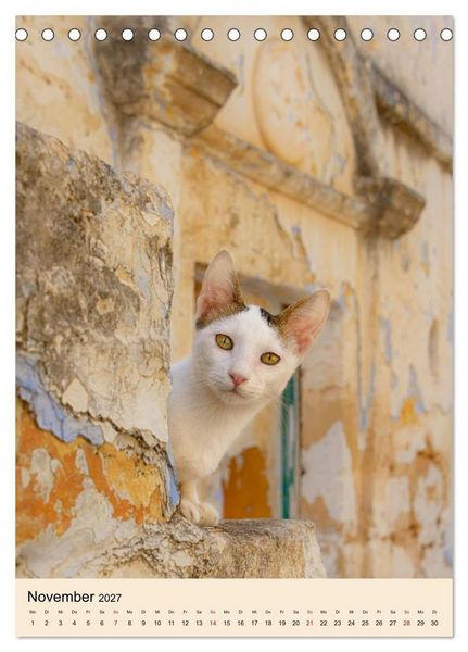 Produktbild: Katzen von Rhodos (Tischkalender 2027 DIN A5 hoch), CALVENDO Monatskalender