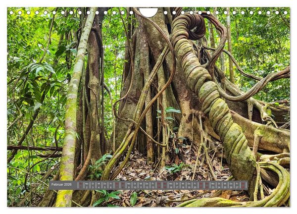 Produktbild: Entdecke Sumatra (Wandkalender 2026 DIN A4 quer), CALVENDO Monatskalender