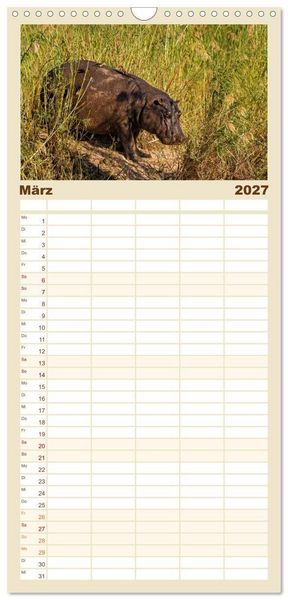 Produktbild: Familienplaner 2027 - Hippos - Gef&auml;hrliche Giganten mit 5 Spalten (Wandkalender, 21 x 45 cm) CALVENDO