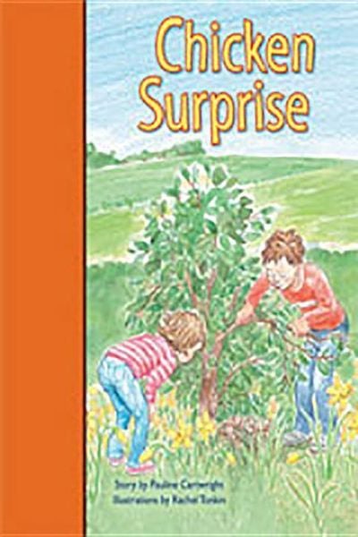 Produktbild: Rigby PM Stars Bridge Books: Leveled Reader Bookroom Package Orange Chicken Surprise