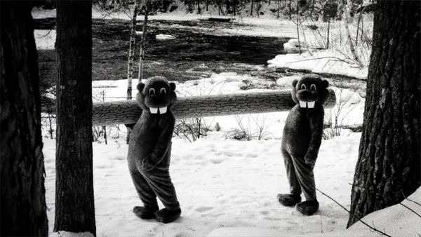 Produktbild: Hundreds of Beavers