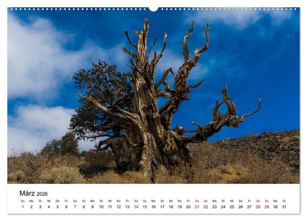 Produktbild: Naturparadiese zwischen Los Angeles und Las Vegas (Wandkalender 2026 DIN A2 quer), CALVENDO Monatskalender