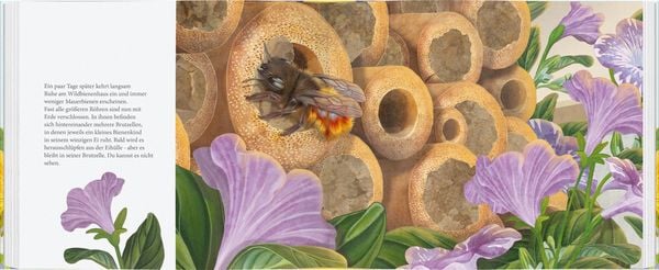 Produktbild: Ich bau dir ein Haus, kleine Wildbiene