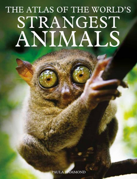 Produktbild: The Atlas of The World's Strangest Animals