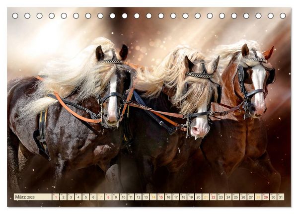 Produktbild: Eleganz und Sch&ouml;nheit - Pferde (Tischkalender 2026 DIN A5 quer), CALVENDO Monatskalender