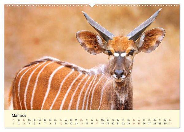 Produktbild: Traumhaftes Malawi (hochwertiger Premium Wandkalender 2026 DIN A2 quer), Kunstdruck in Hochglanz