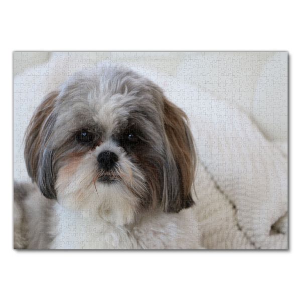 Produktbild: Lais Puzzle Shih Tzu 1000 Teile